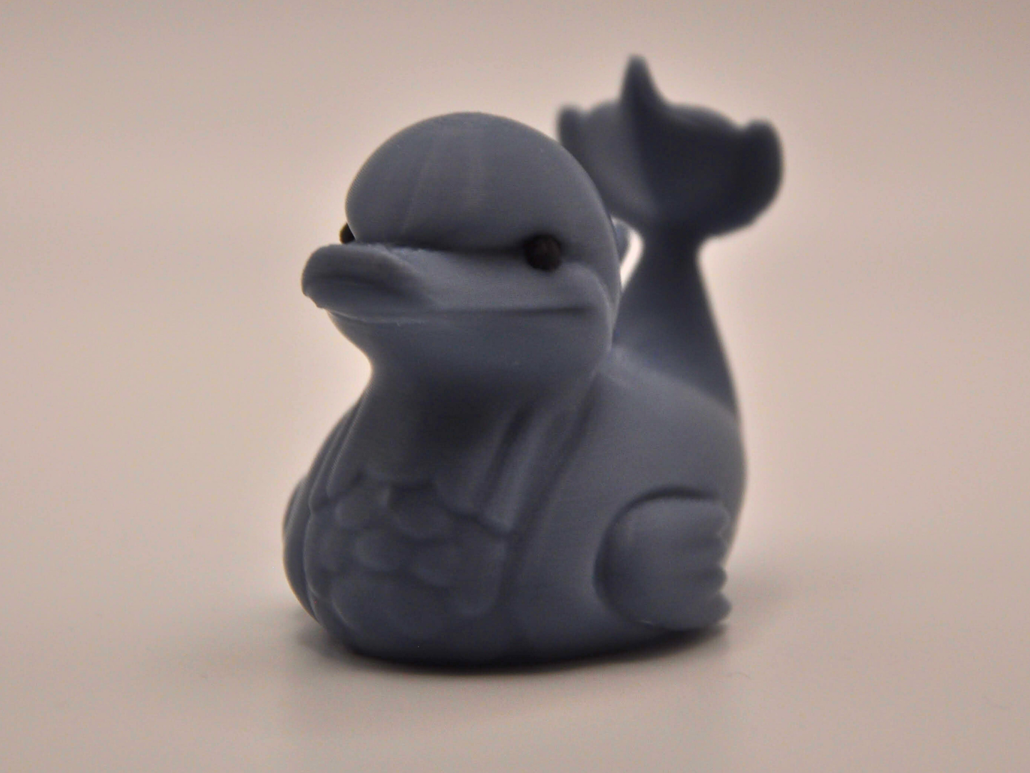 Dolphin Duck