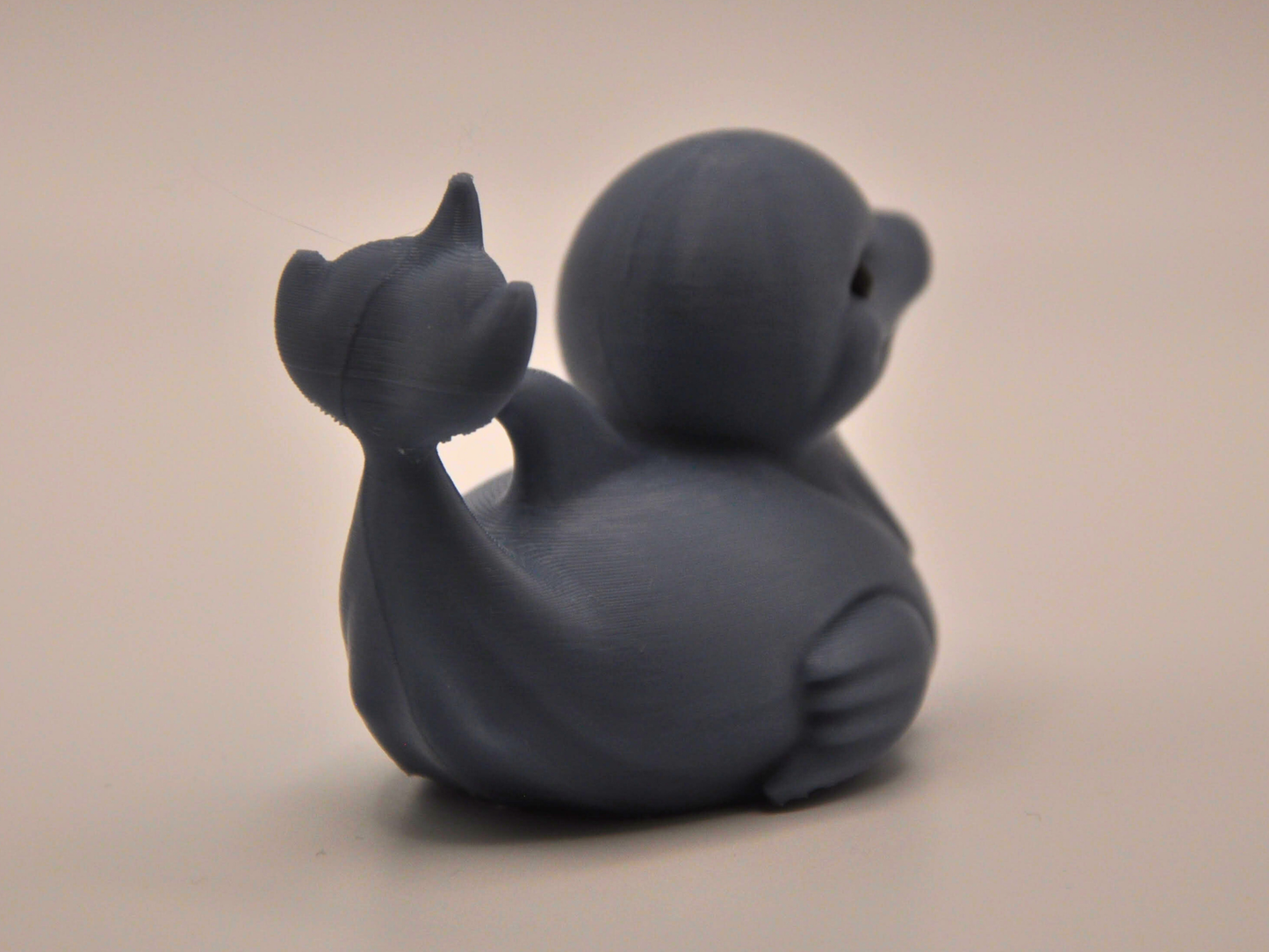Dolphin Duck