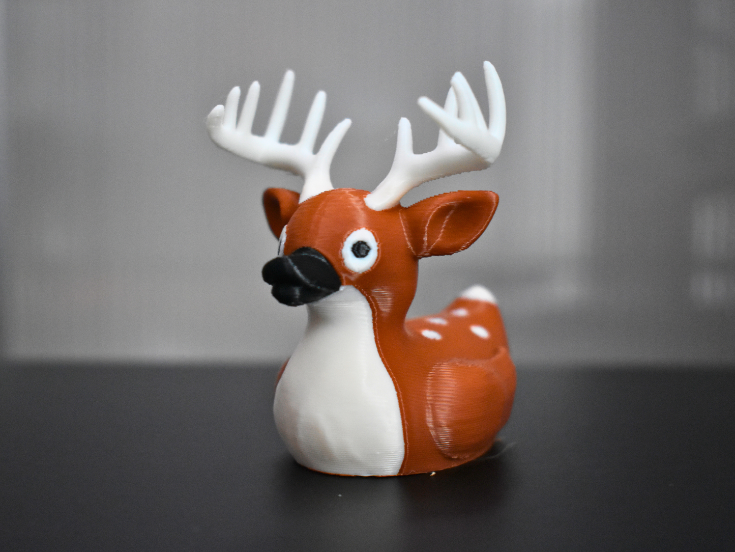 White tail duck