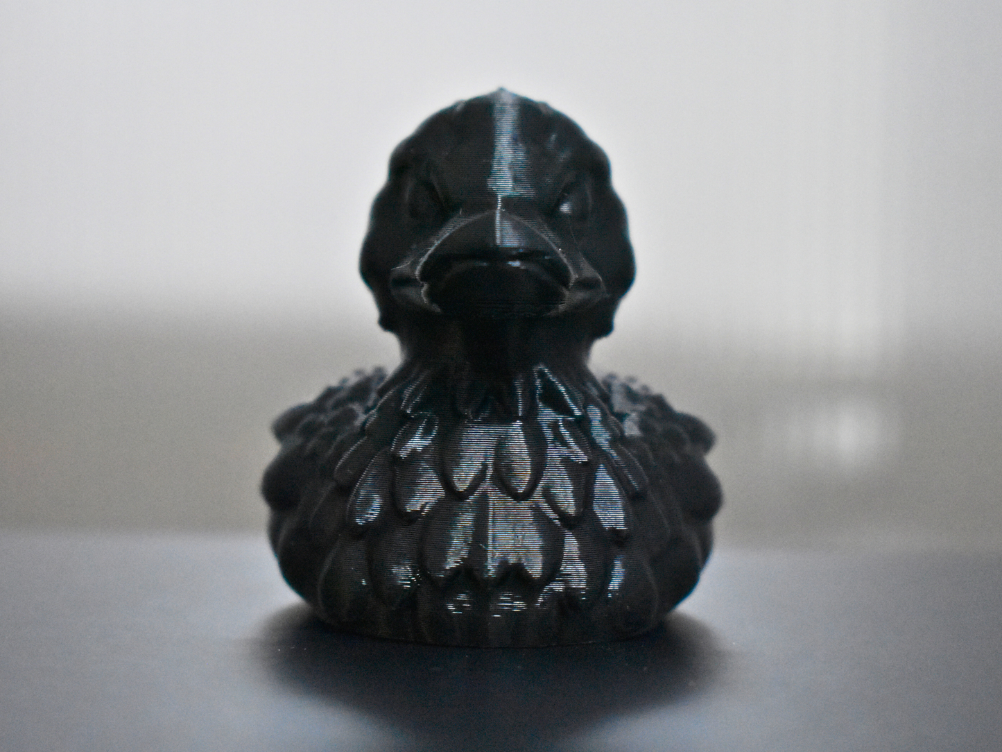 Raven Duck