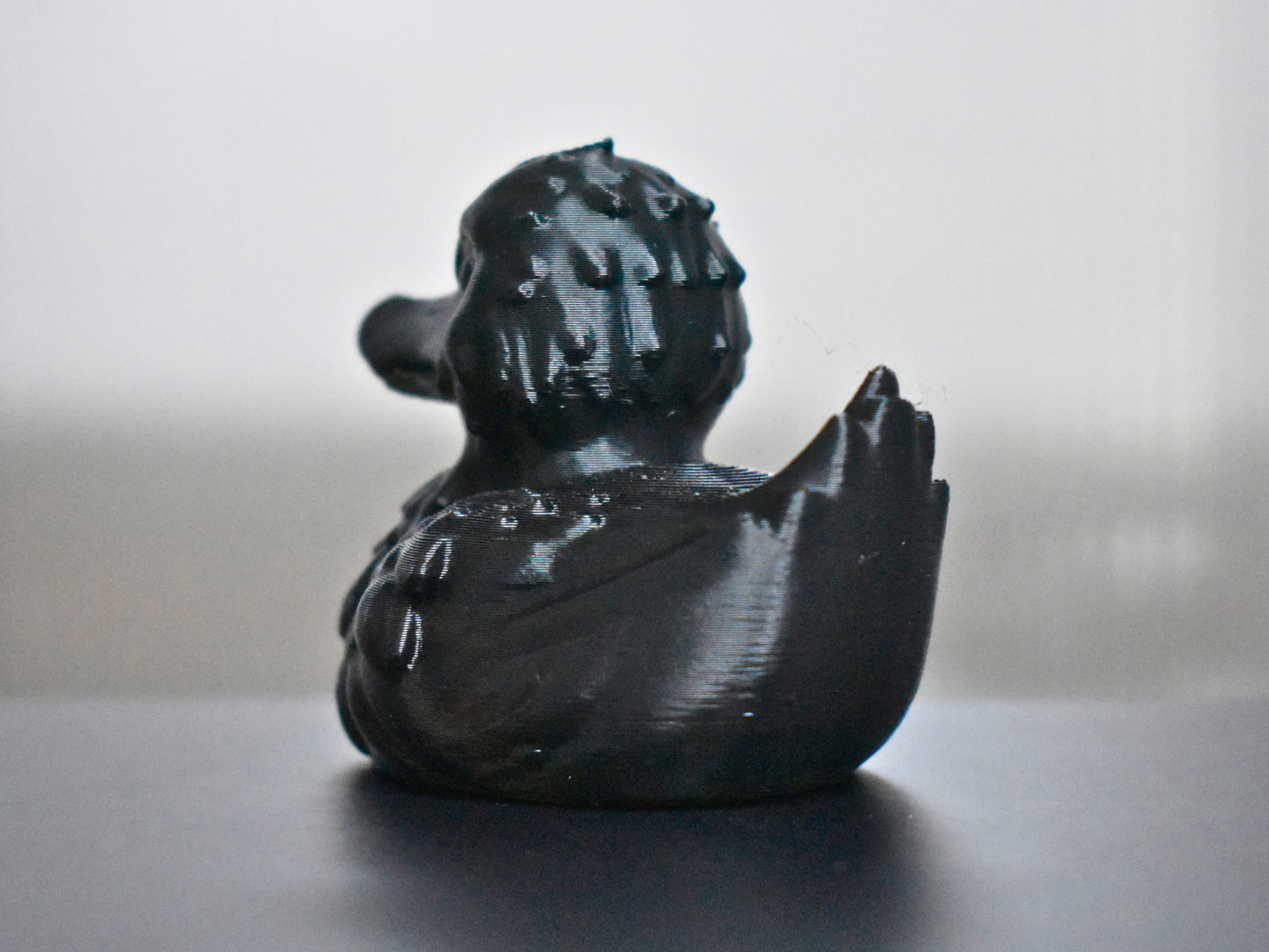 Raven Duck