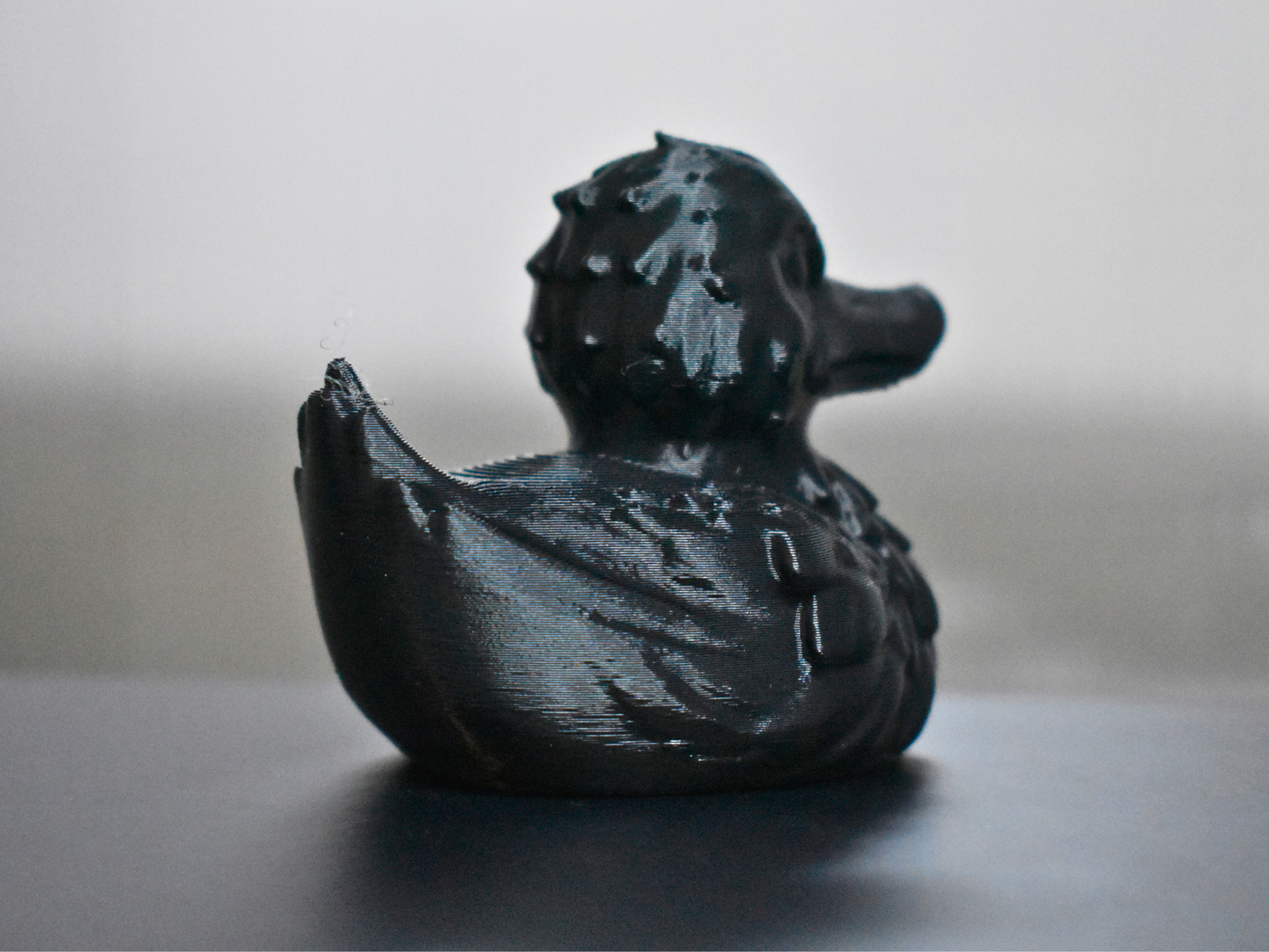 Raven Duck