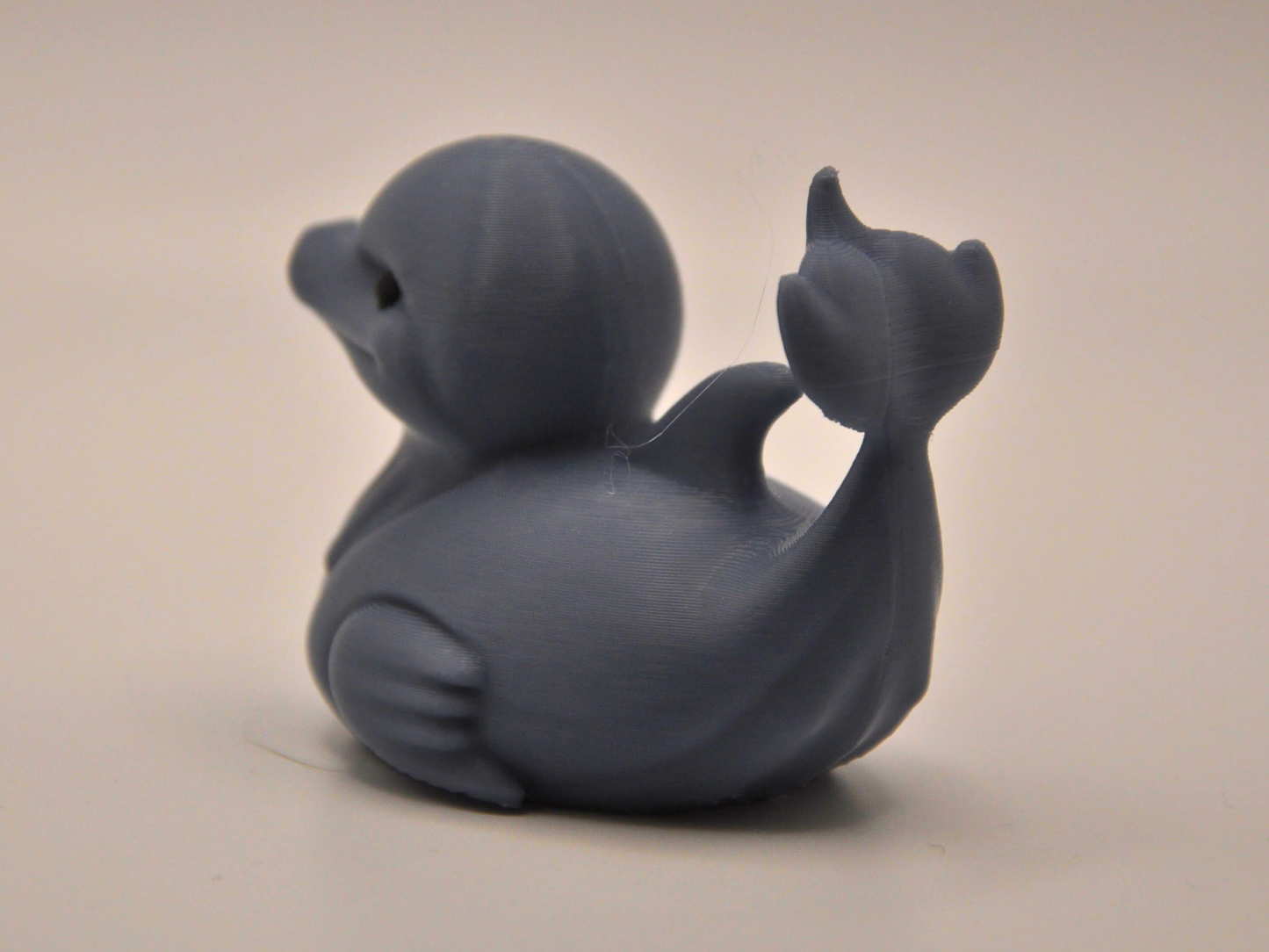 Dolphin Duck